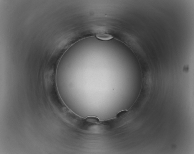X0000113360364200909221205