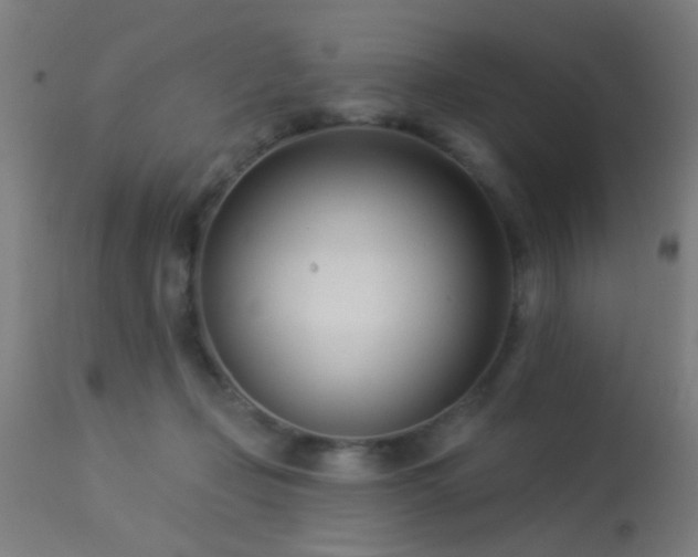 X0000113360365200909221205