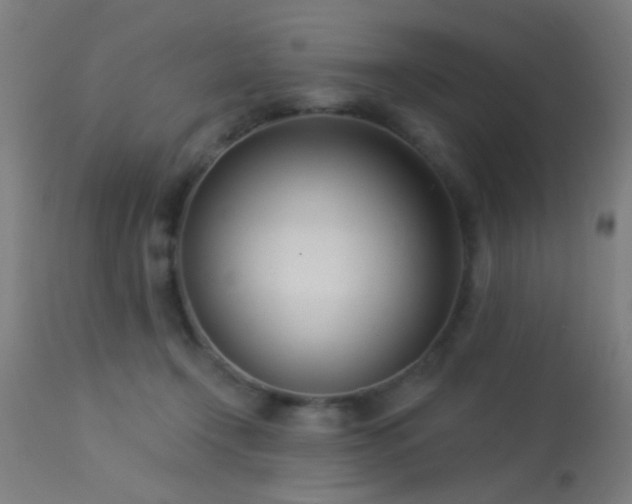 X0000113360366200909221205
