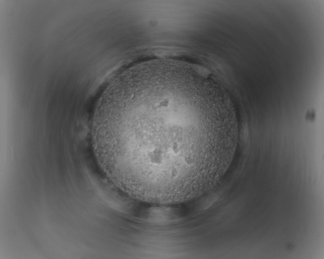 X0000113360367200909221205