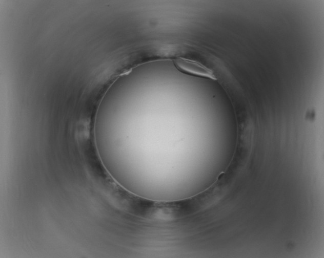 X0000113360368200909221205
