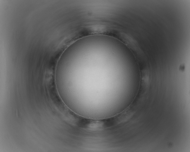 X0000113360369200909221205