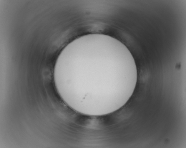 X0000113360370200909221205