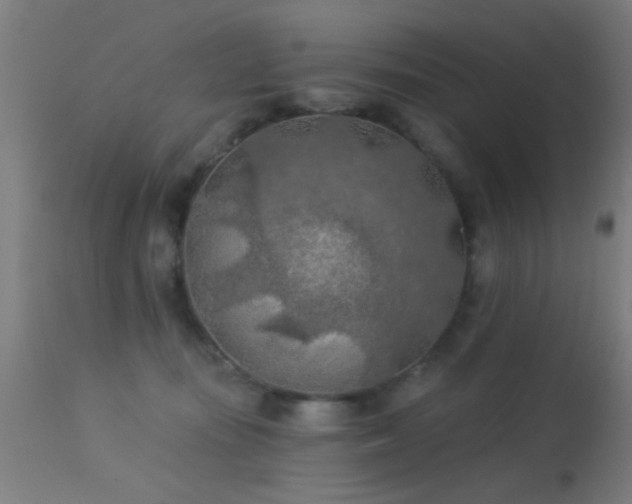 X0000113360371200909221205