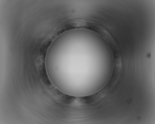 X0000113360372200909221205