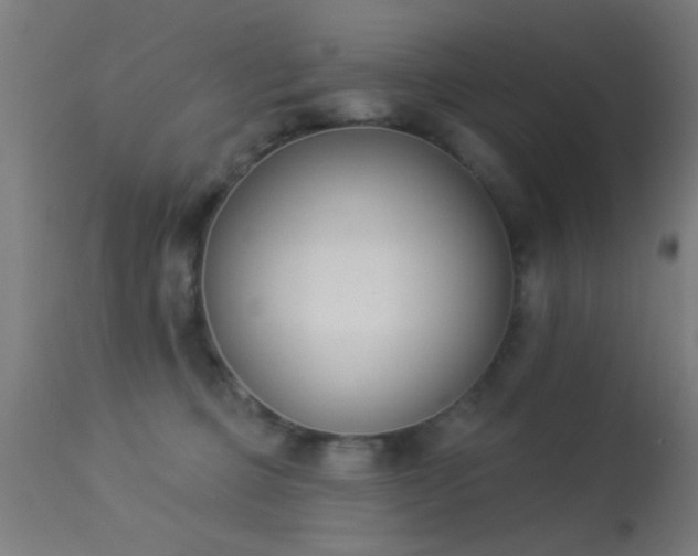 X0000113360373200909221205