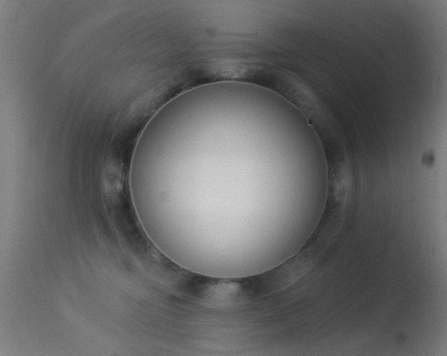 X0000113360374200909221205