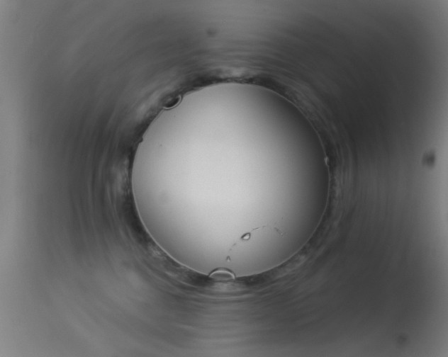 X0000113360376200909221205