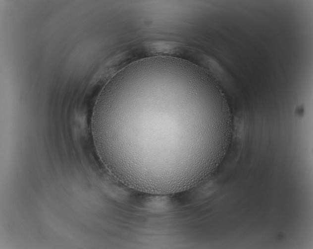 X0000113360377200909221205