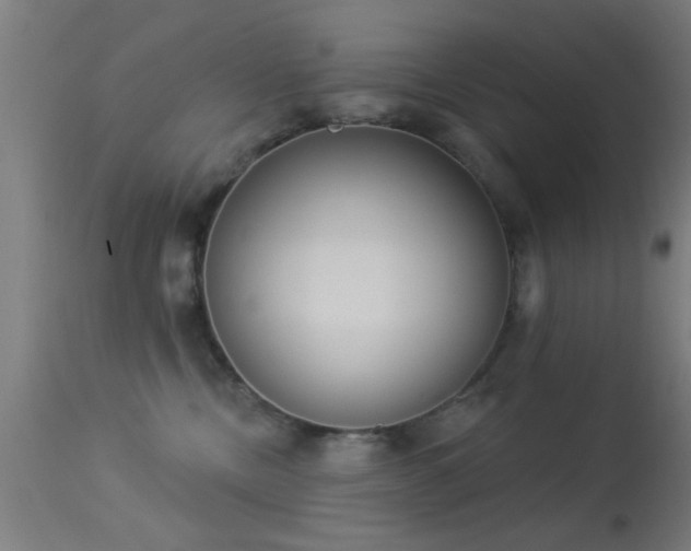 X0000113360378200909221205