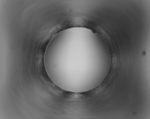 X0000113360379200909221205