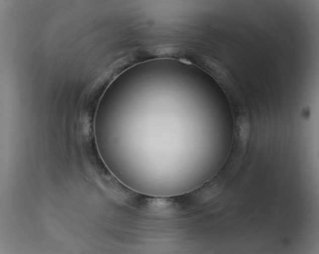 X0000113360380200909221205