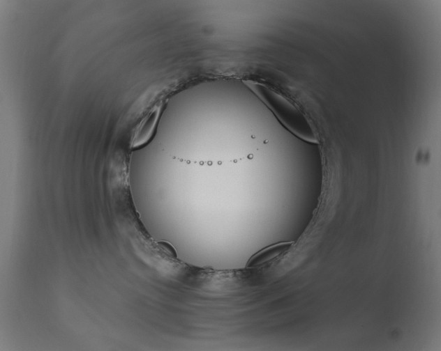 X0000113360384200909221205
