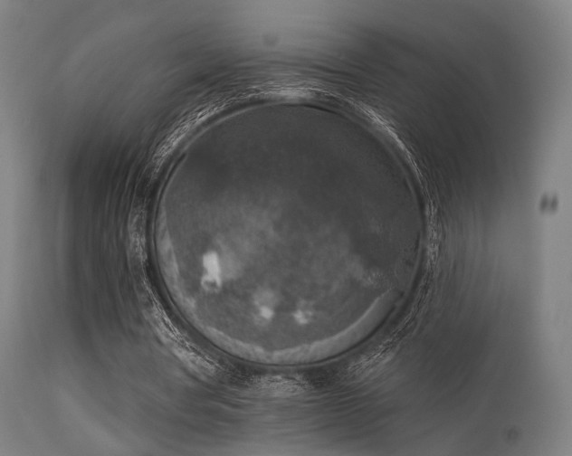 X0000113360386200909221204