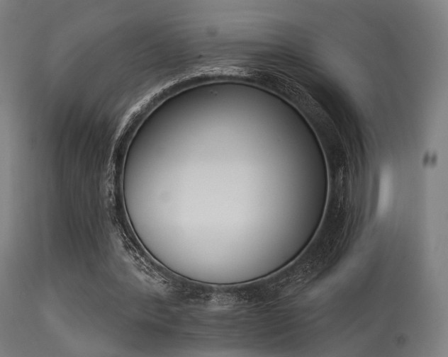 X0000113360388200909221204