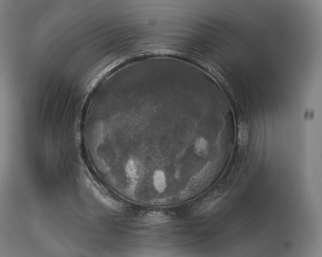 X0000113360390200909221204