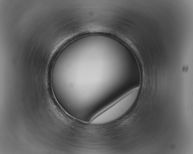 X0000113360391200909221204