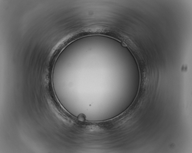 X0000113360392200909221204