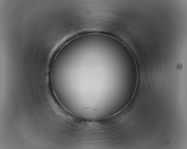 X0000113360395200909221204