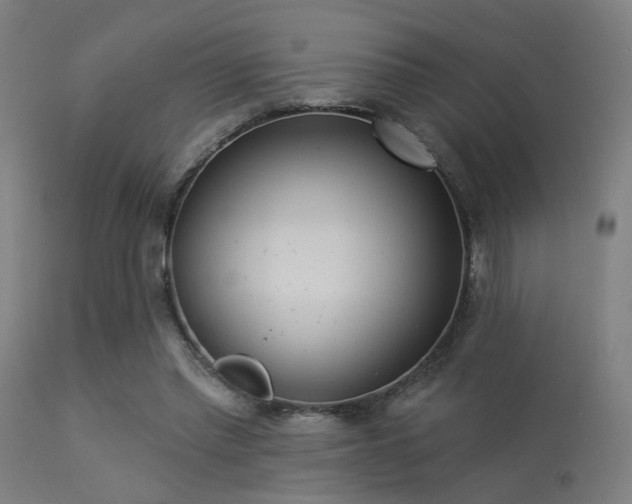 X0000113360397200909221204