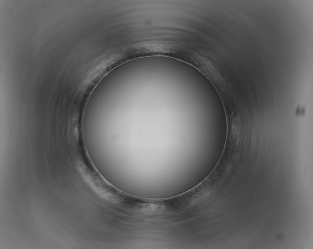 X0000113360398200909221204