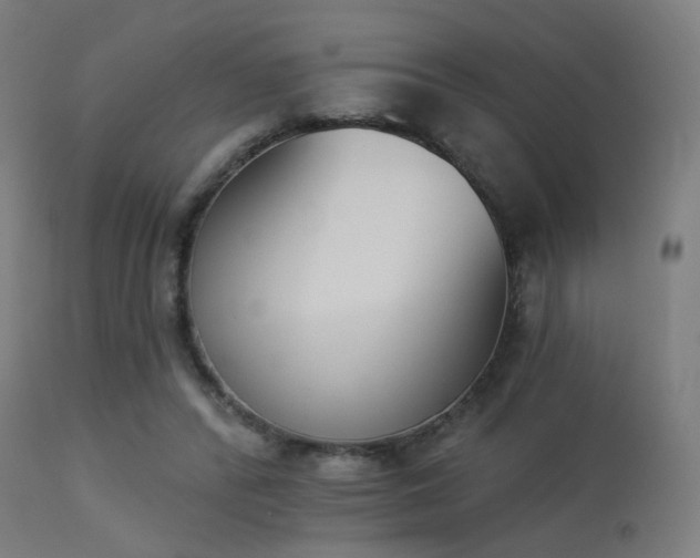 X0000113360400200909221204