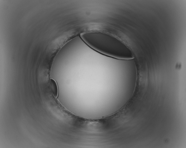 X0000113360401200909221204