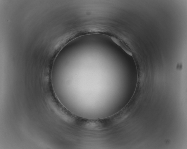 X0000113360402200909221204