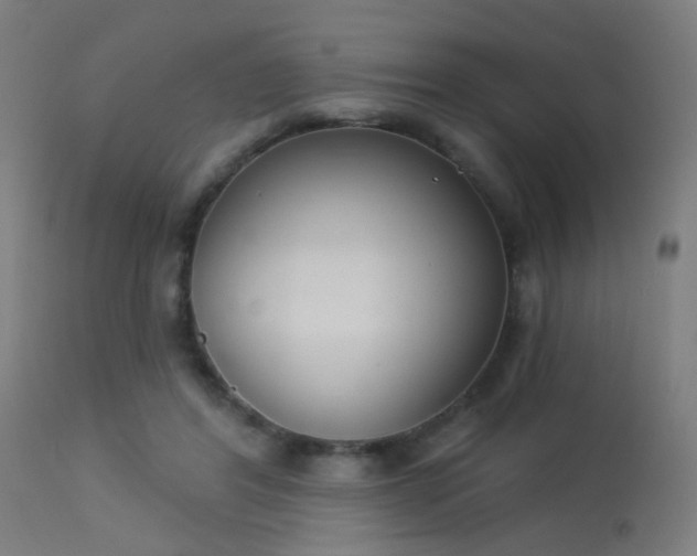 X0000113360404200909221204