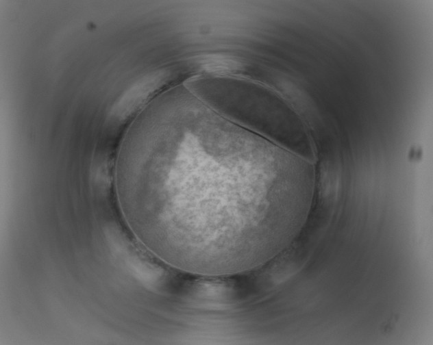 X0000113360405200909221204