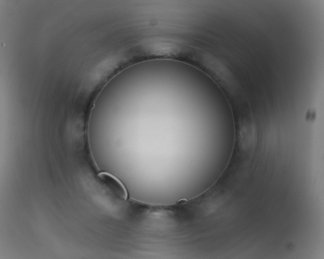 X0000113360407200909221204