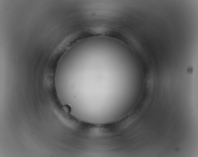 X0000113360408200909221204