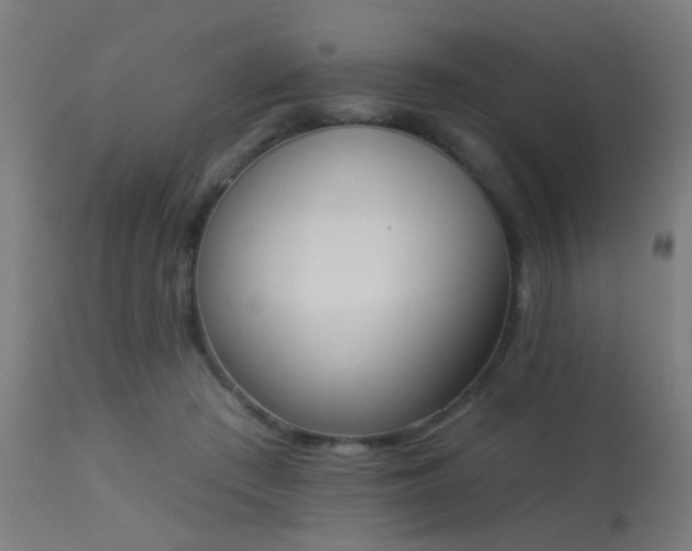 X0000113360409200909221204