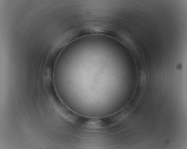 X0000113360410200909221204