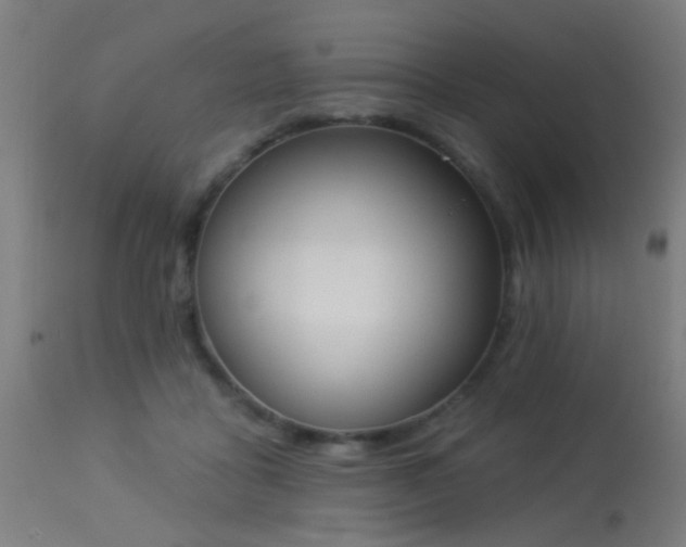 X0000113360411200909221204