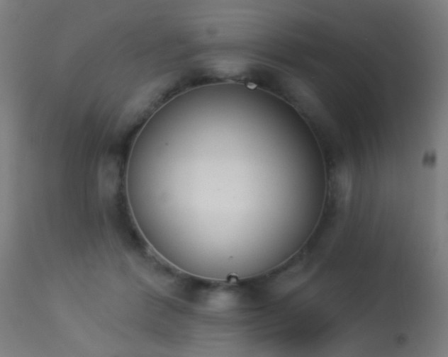 X0000113360412200909221204