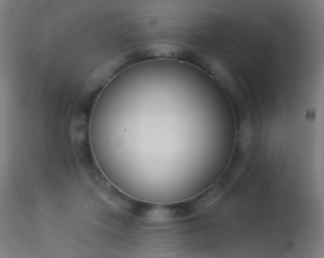 X0000113360413200909221204