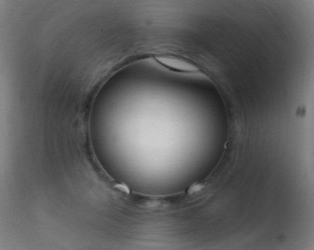 X0000113360415200909221204
