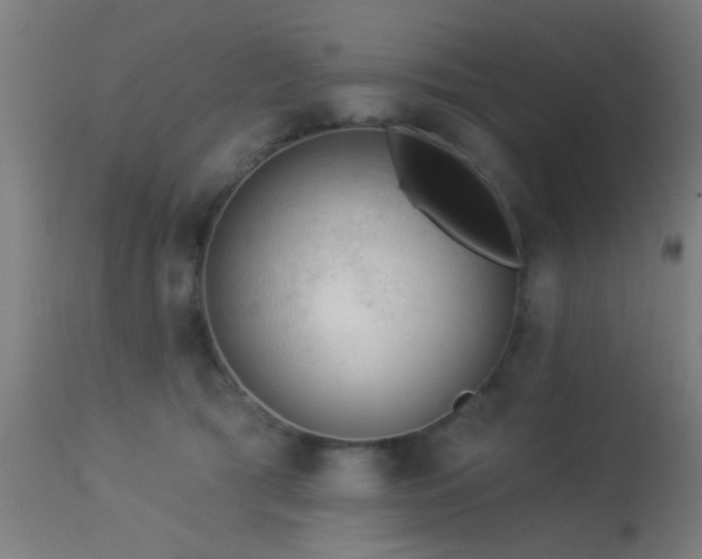 X0000113360417200909221204