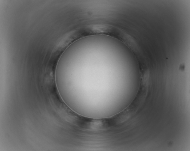 X0000113360418200909221204