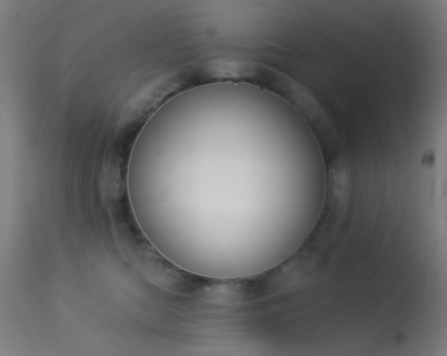 X0000113360422200909221204