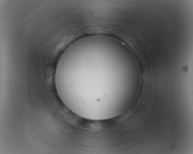 X0000113360423200909221204