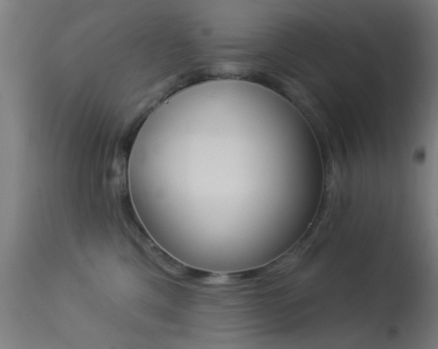 X0000113360425200909221204