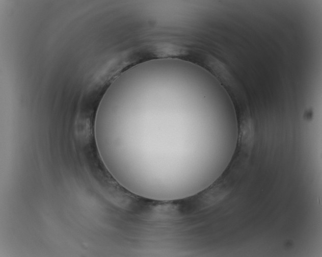X0000113360426200909221204