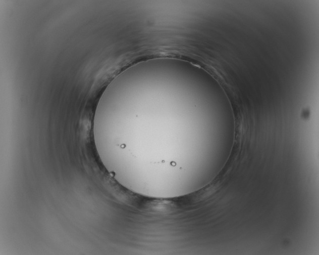 X0000113360427200909221204