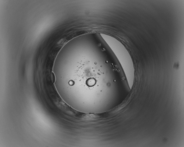X0000113360429200909221204