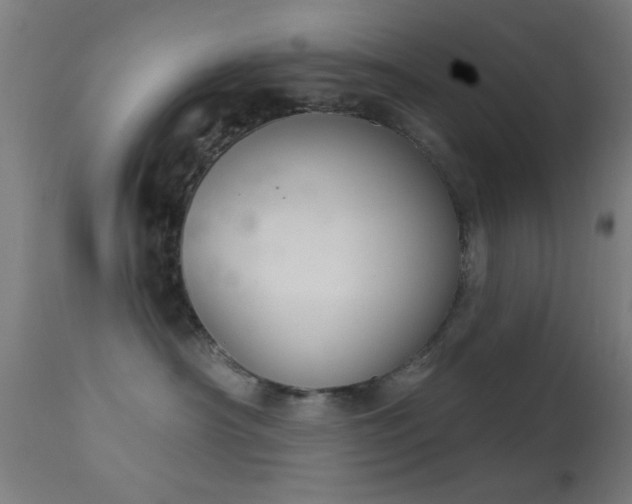 X0000113360430200909221204
