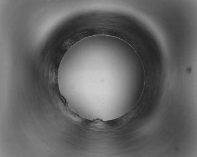 X0000113360431200909221204