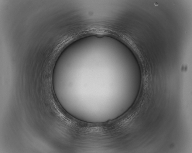 X0000113360433200909221203