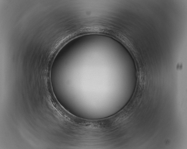 X0000113360434200909221203